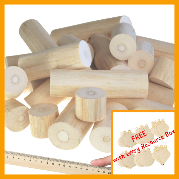 Resource Box - Assorted Mini logs